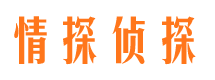 六安市调查公司